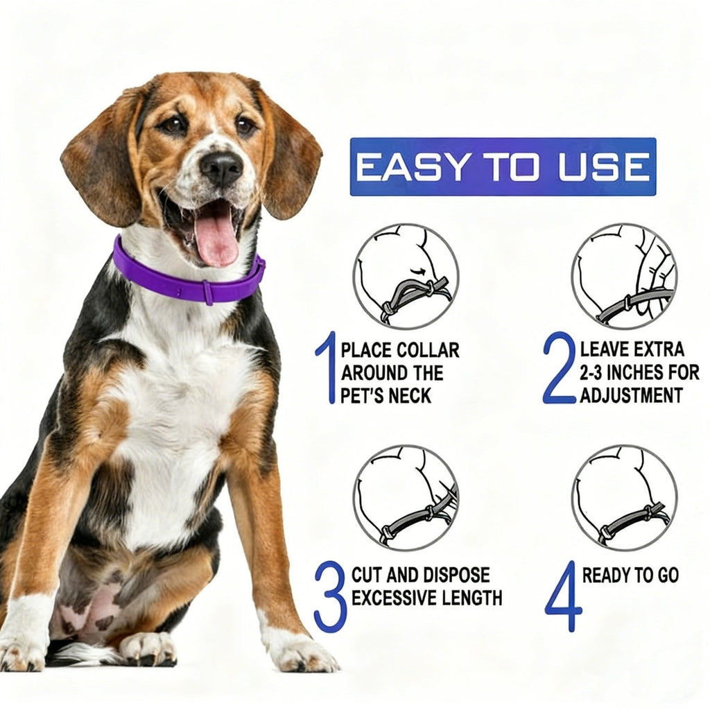 Purple 63.5cm Adjustable Flea Tick Collar for Dogs