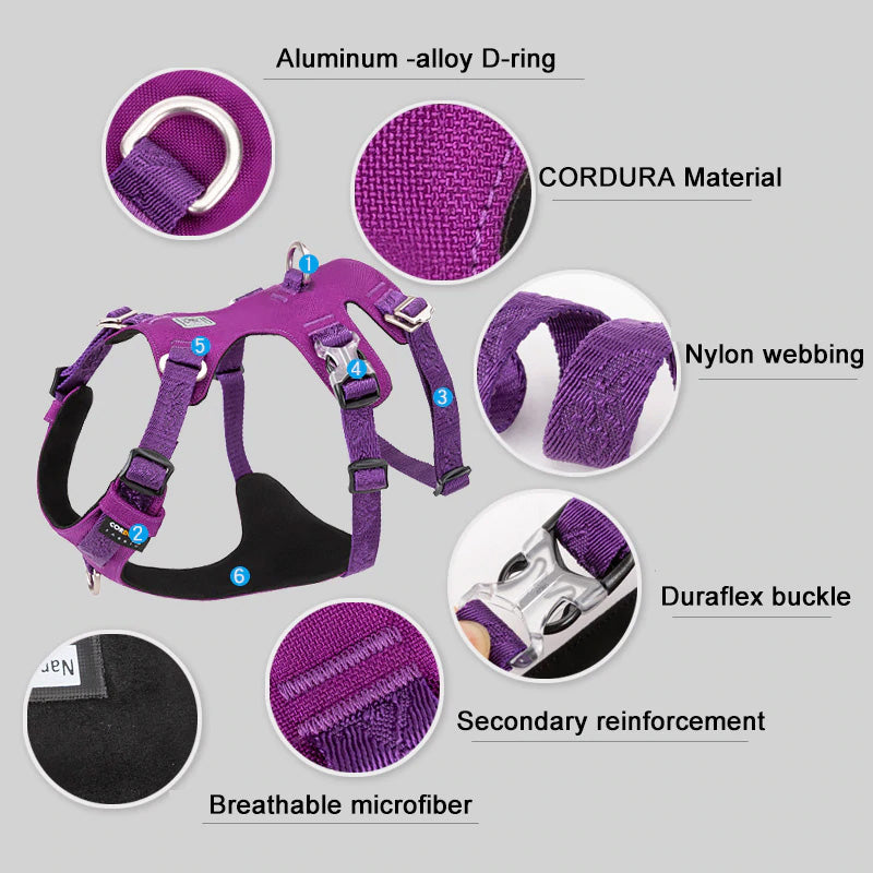 Escape Proof Dog Harness Double-H Waterproof
