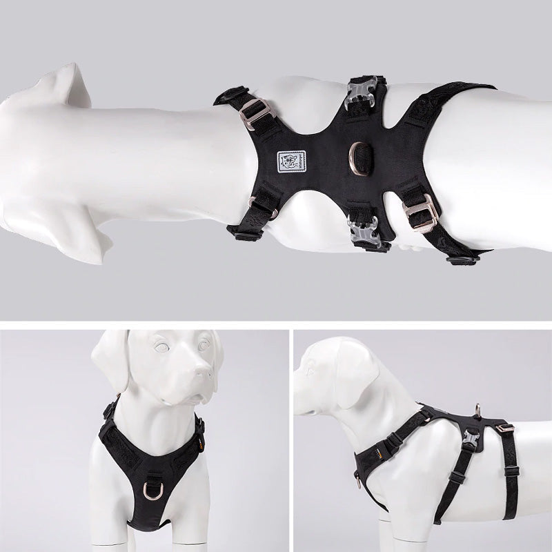 Escape Proof Dog Harness Double-H Waterproof