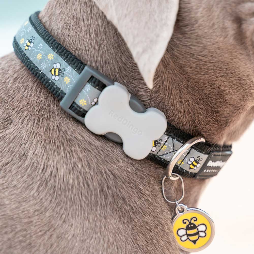 Dog Collar Bumble Bee Black