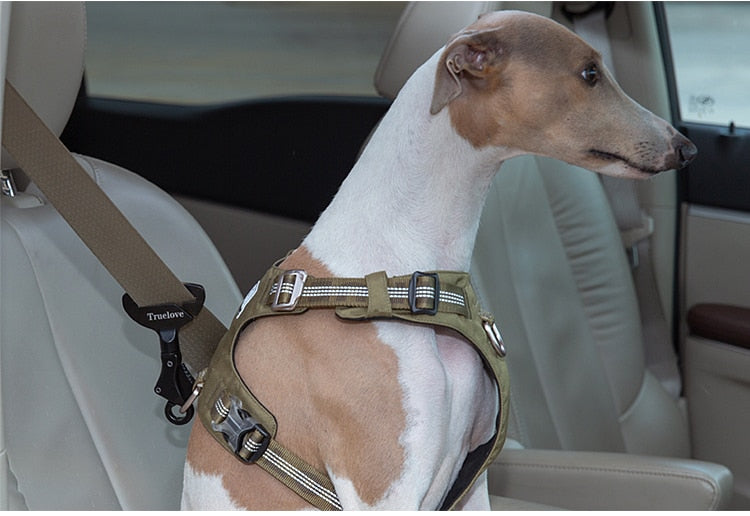 Dog Car Seat Belt Safety Buckle