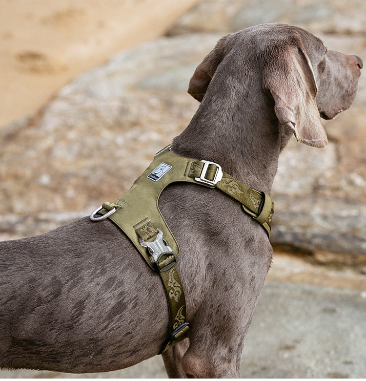 Light Weight No Pull Dog Harness